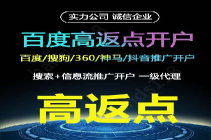 竞价广告的投放时机与频次选择——基于案例的探讨